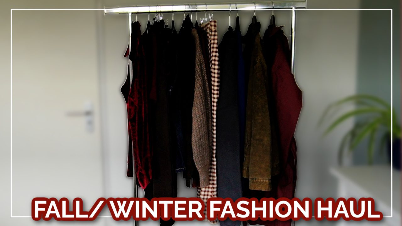 Fall/ Winter fashion haul 2025